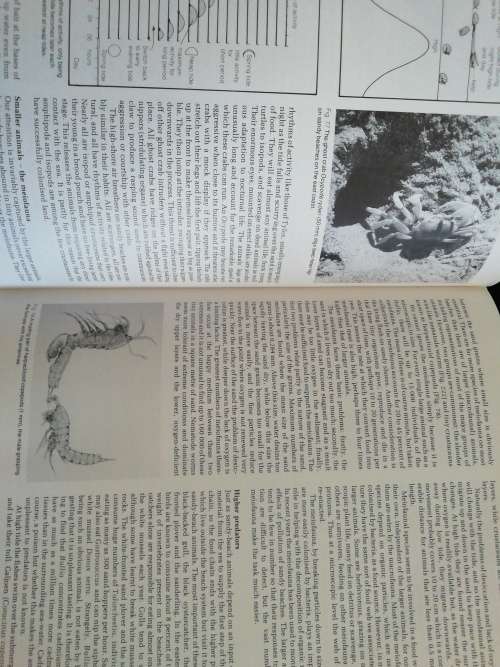 The Living Shores of Southern Africa / Margo and George Branch