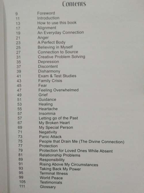 The Divine Connection / Yvette de Villiers