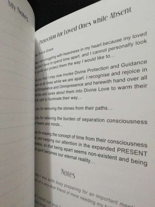 The Divine Connection / Yvette de Villiers