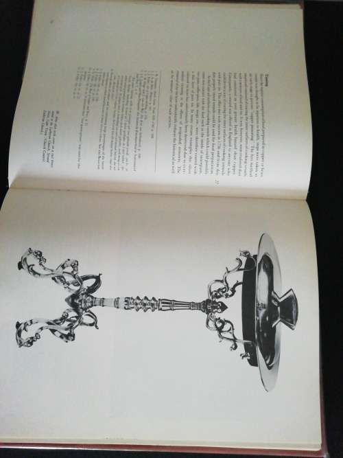 The Cape copper-smith  / Marius Le Roux