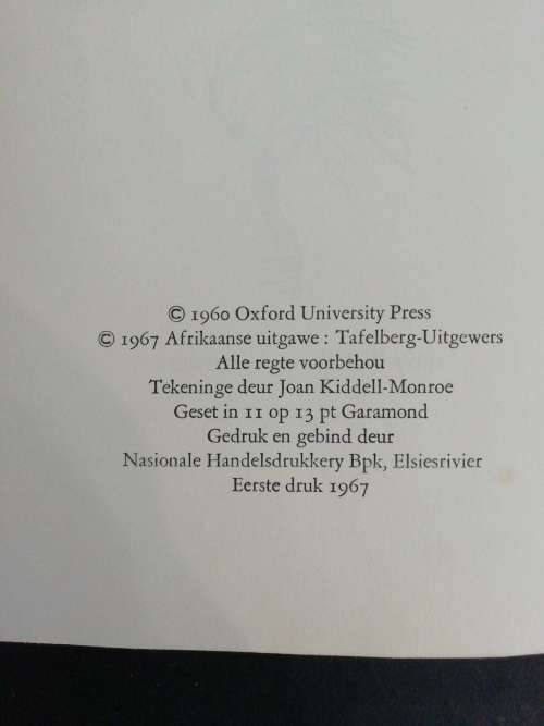 DIE GROOT STORM / HESTER BURTON