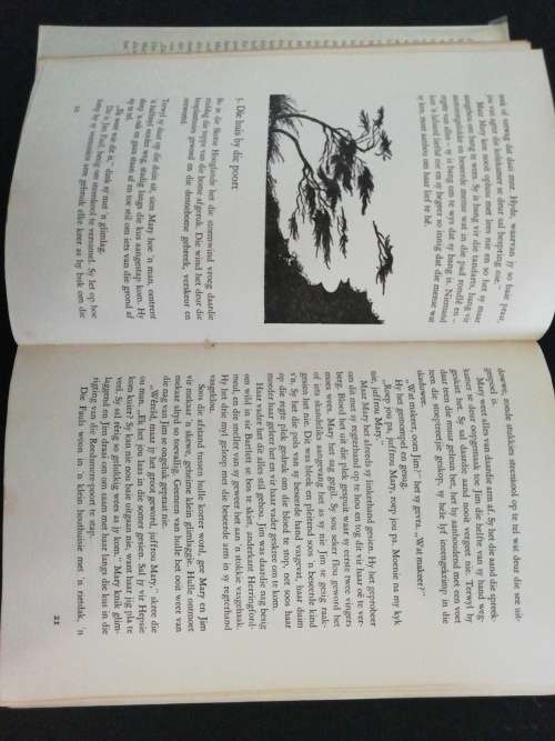 DIE GROOT STORM / HESTER BURTON
