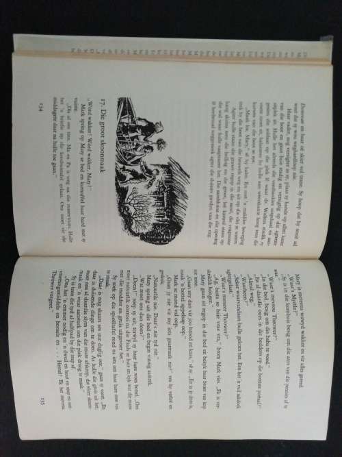DIE GROOT STORM / HESTER BURTON
