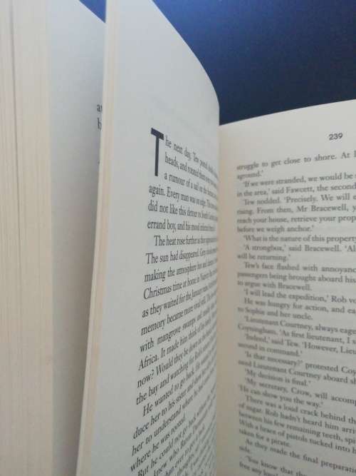 STORM TIDE  /  WILBUR SMITH