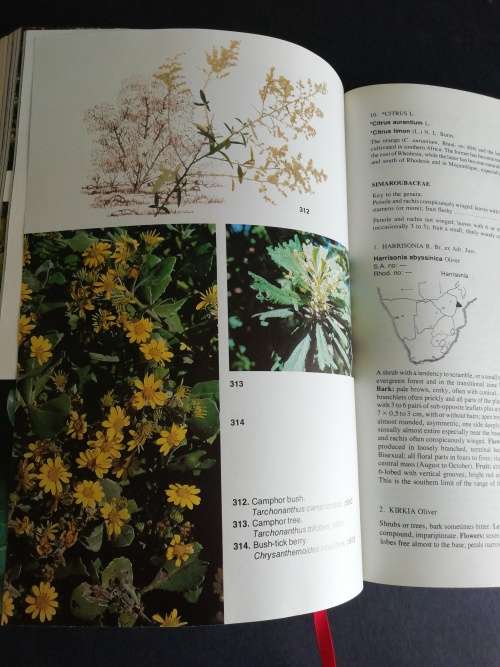 Trees of Southern Africa  /   Keith Coates Palgrave (Second Revised Edition)