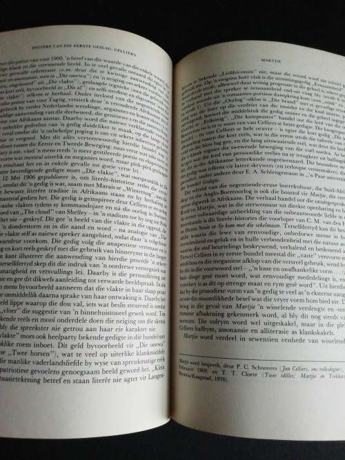 Geskiedenis van die Afrikaanse literatuur: Band 1   /  J. C. Kannemeyer