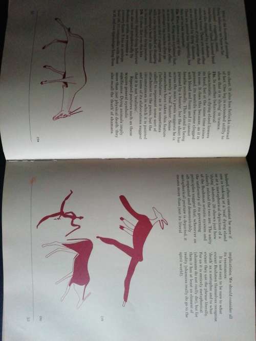 Images of Power. Understanding Bushman Rock Art  /  David Lewis-Williams and Thomas Dowson