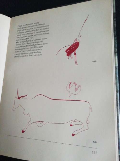 Images of Power. Understanding Bushman Rock Art  /  David Lewis-Williams and Thomas Dowson