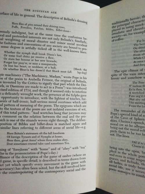 A Critical History of English Literature  /   David Daiches (Volume 3)