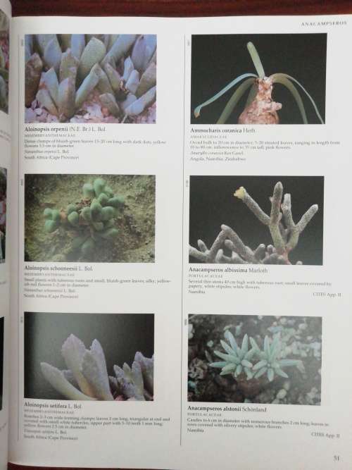 Succulents: The Illustrated Dictionary Sajeva, Maurizio, Constanzo, Mariangela