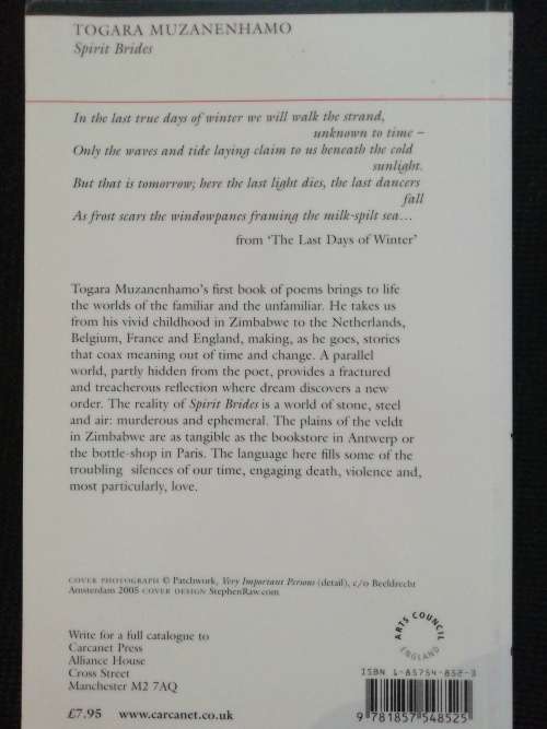 Spirit Brides / Togara Muzanenhamo