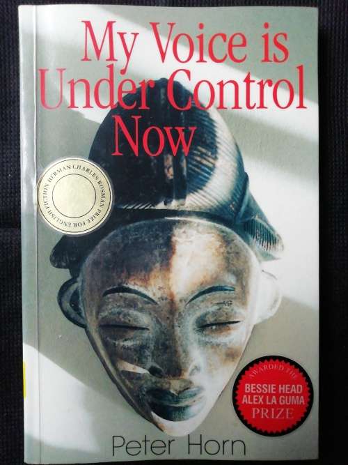 My Voice is Under Control Now / Peter Horn