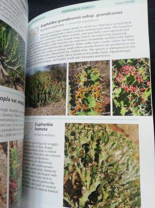 Guide to Succulents of Southern Africa / Gideon F. Smith & Neil R. Crouch