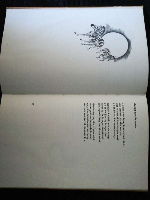 BOESMANVERSE / Abraham Fouche