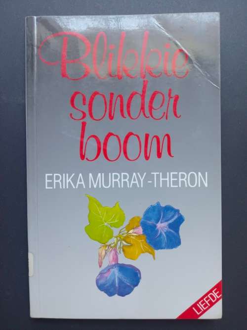 Blikkie sonder boom / Erika Murray-Theron