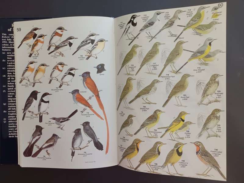 Roberts` Birds of Southern Africa (Sixth Edition) / Gordon Lindsay Maclean