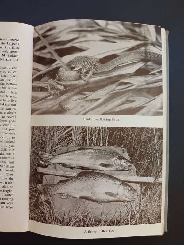 AFRICAN ANGLER`S ARGOSY / J.H. YATES
