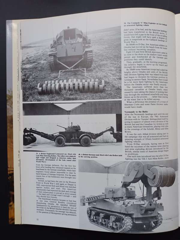 Taming the Landmine / Peter Stiff