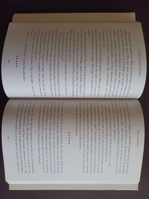 UNDER A SWIRLING SUN / M. Victoria Pereira