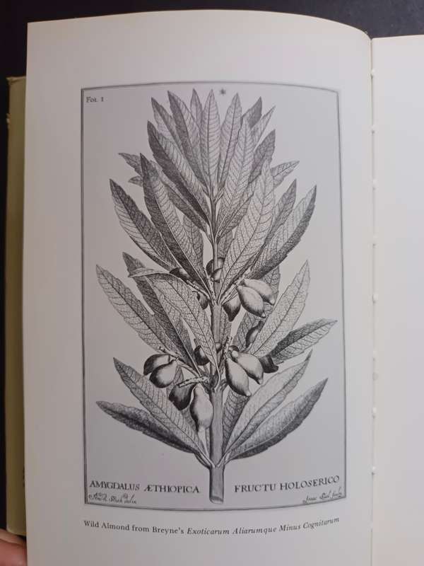 AFRICANA BYWAYS Edited by Anna H. Smith