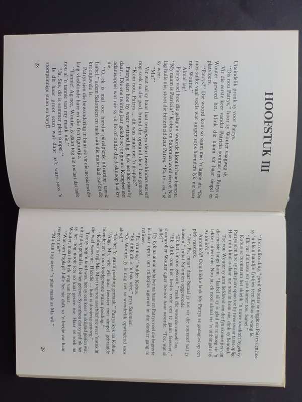 Die ontwaking van Patrys Loreman / Marilee McCallaghan