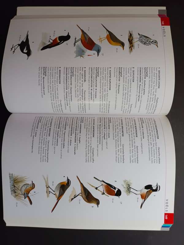 Die NATUURLEWE van SUIDER-AFRIKA / Vincent Carruthers