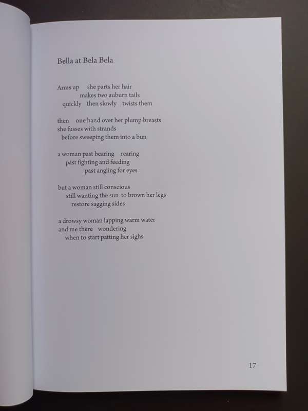 THE COLOURS OF OUR FLAG / Allan Kolski Horwitz