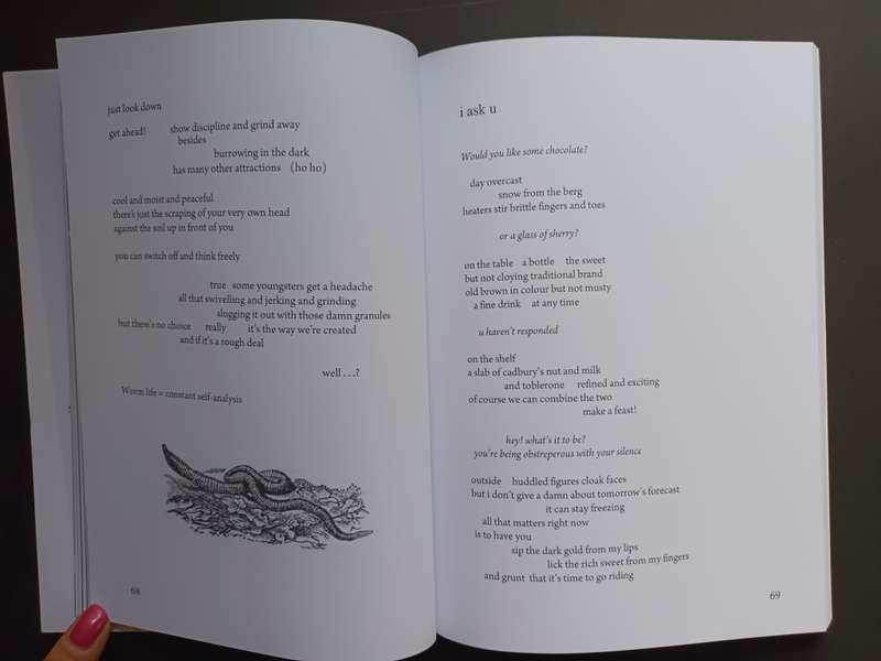 THE COLOURS OF OUR FLAG / Allan Kolski Horwitz