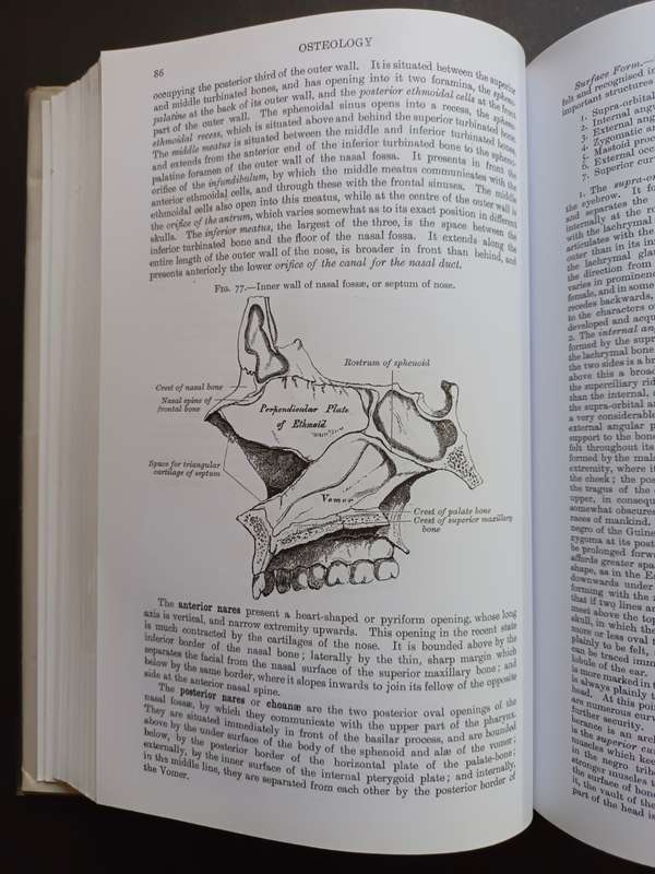 GRAY`S ANATOMY: The Masterclass Edition/ Henry Gray, F.R.S.