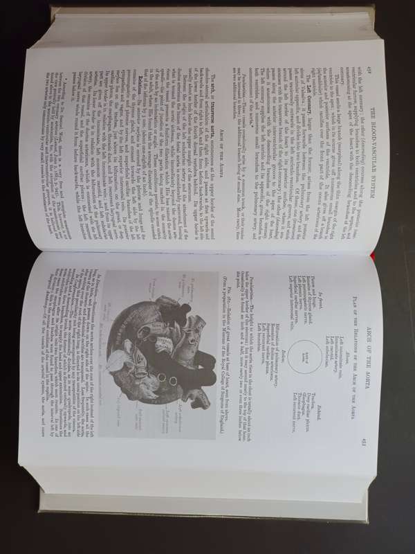 GRAY`S ANATOMY: The Masterclass Edition/ Henry Gray, F.R.S.