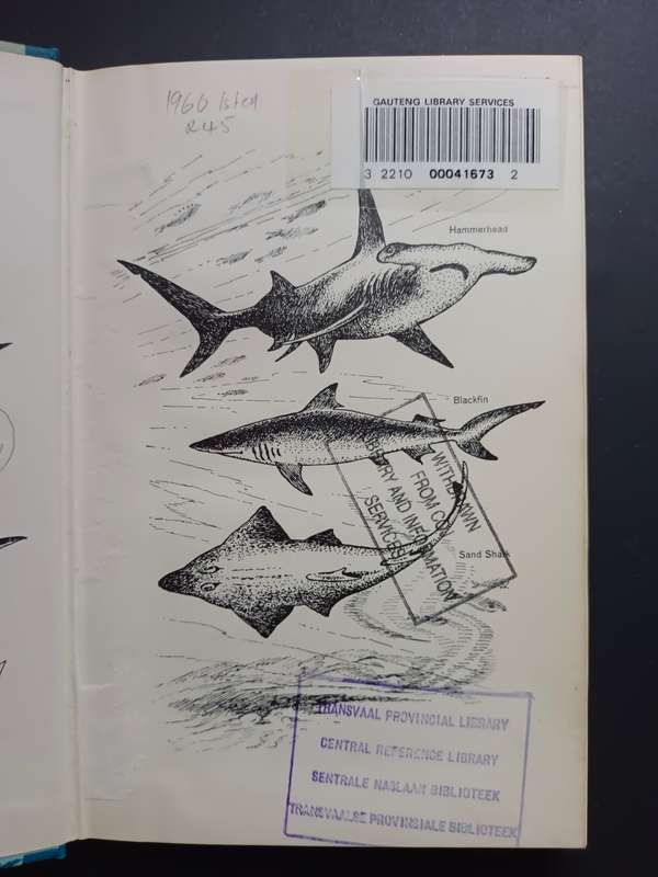 Salt-water Fish and Fishing in Southern Africa  / K. T. Lilliecrona