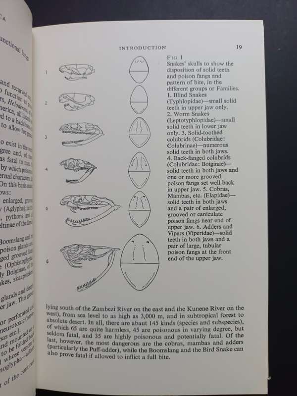 A Field Guide to the SNAKES of Southern Africa / V.F.M. FitzSimons