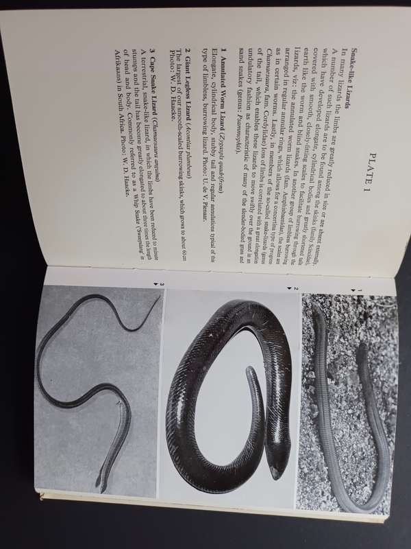 A Field Guide to the SNAKES of Southern Africa / V.F.M. FitzSimons