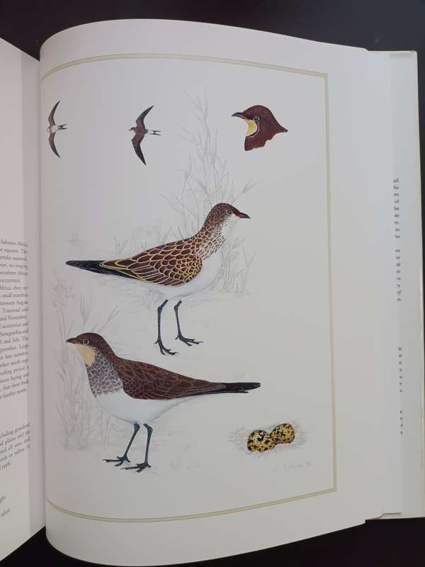 Waders of Southern Africa / Phil Hockey & Clare Douie