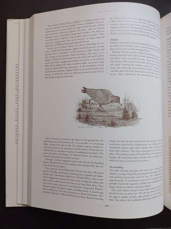 Waders of Southern Africa / Phil Hockey & Clare Douie