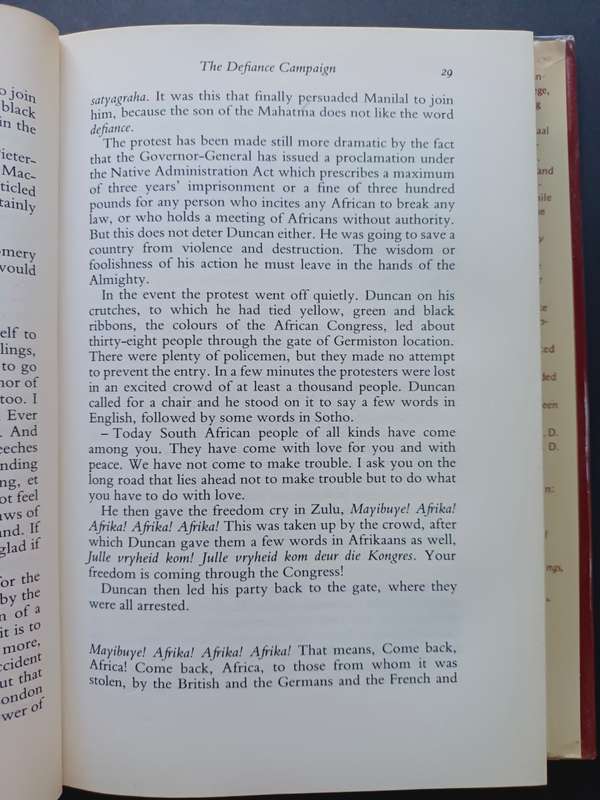 Ah, But Your Land Is Beautiful / Alan Paton