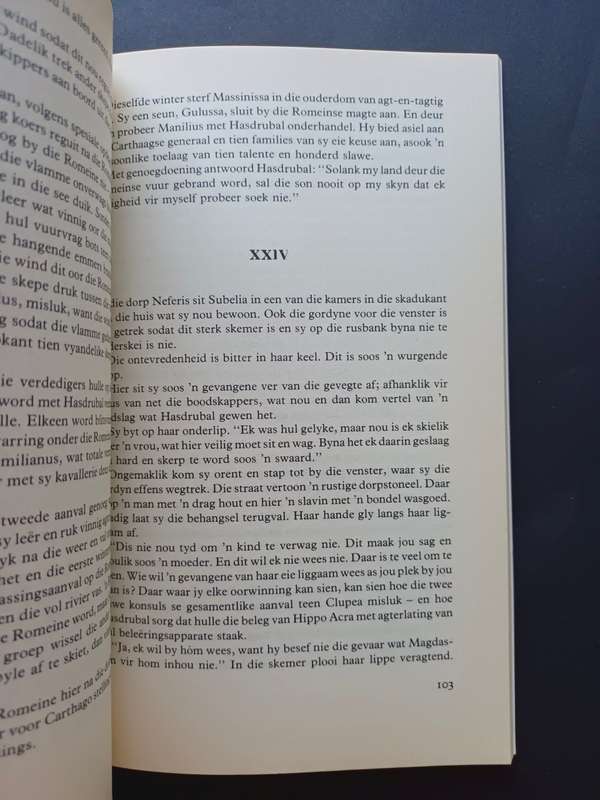 DIE VLAMMENDE STAD / Anthonie P. Roux