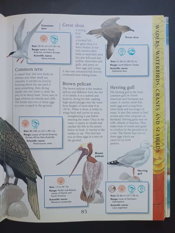 The Marshall Children`s Animal Encyclopedia / Consultant: Prof. Philip Whitfield