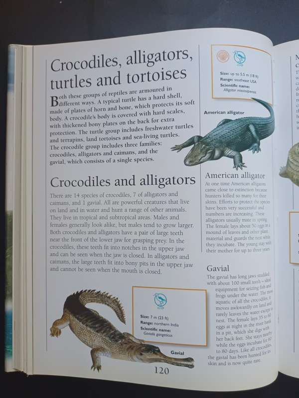 The Marshall Children`s Animal Encyclopedia / Consultant: Prof. Philip Whitfield