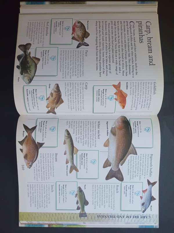 The Marshall Children`s Animal Encyclopedia / Consultant: Prof. Philip Whitfield