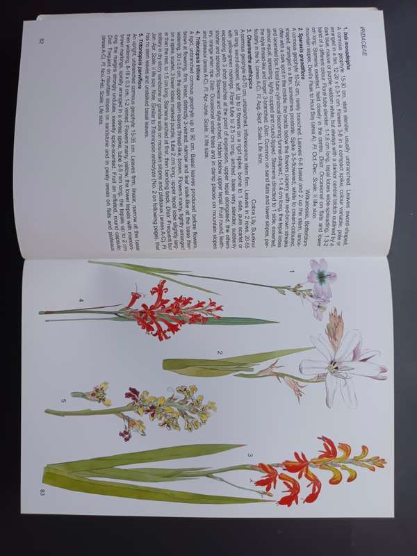 Wild Flowers of the Table Mountain National Park / Terry Trinder-Smith