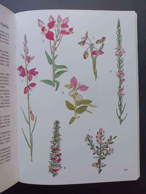 Wild Flowers of the Table Mountain National Park / Terry Trinder-Smith