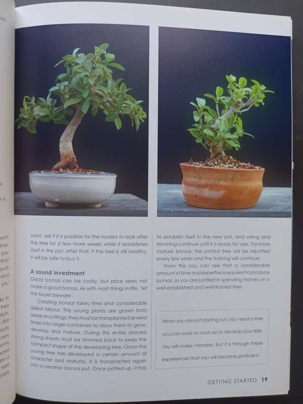 Bonsai Success in Southern Africa / Carl Morrow and Keith Kirsten