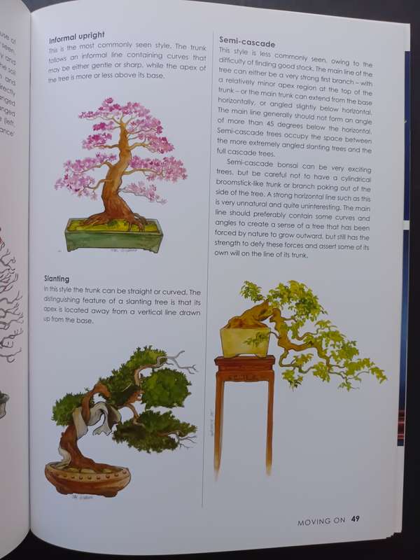 Bonsai Success in Southern Africa / Carl Morrow and Keith Kirsten