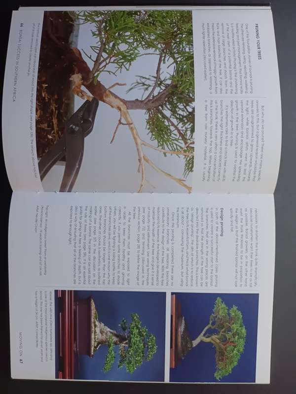 Bonsai Success in Southern Africa / Carl Morrow and Keith Kirsten