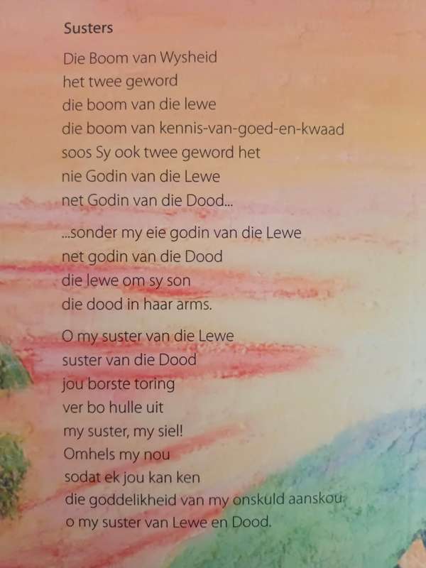 Die Zebravis: `n Poetiese binnereis / Wilna van der Walt