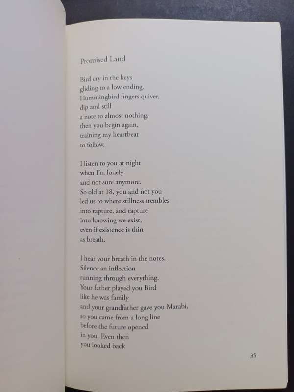 The History of Intimacy: Poems / Gabeba Baderoon