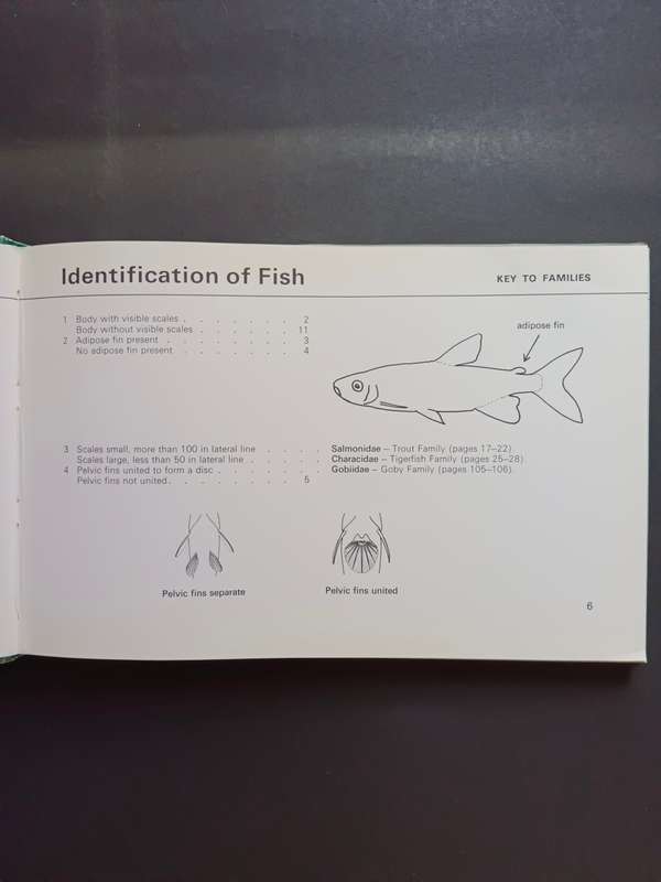 FISHES OF THE TRANSVAAL / Pieter Le Roux & Louis Steyn (Signed)