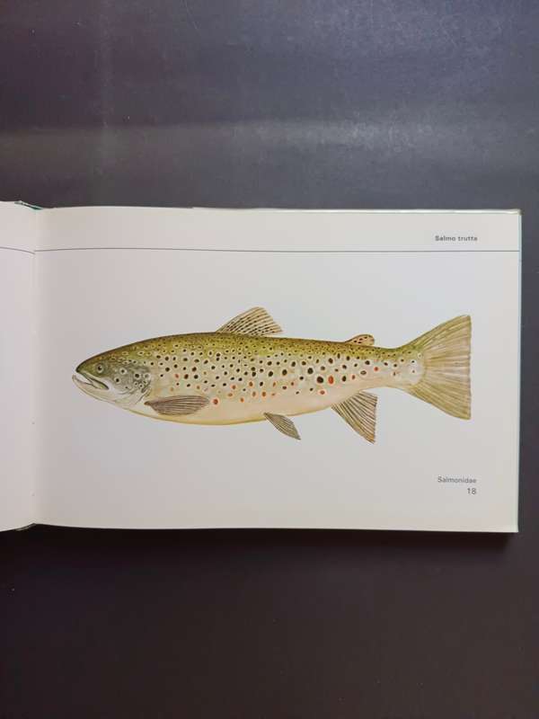 FISHES OF THE TRANSVAAL / Pieter Le Roux & Louis Steyn (Signed)