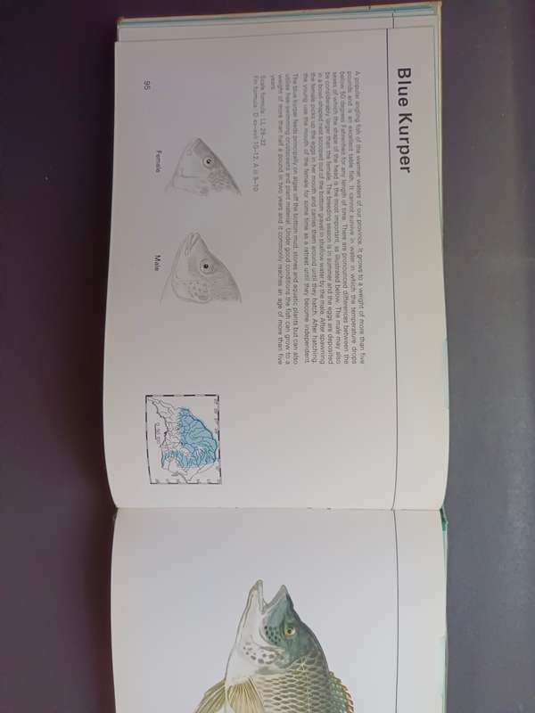 FISHES OF THE TRANSVAAL / Pieter Le Roux & Louis Steyn (Signed)